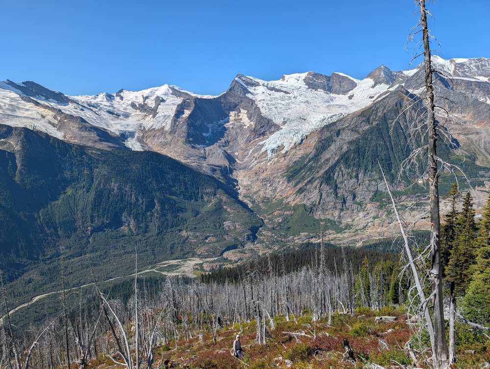 Planter working burned ground below a glaciated mountain range