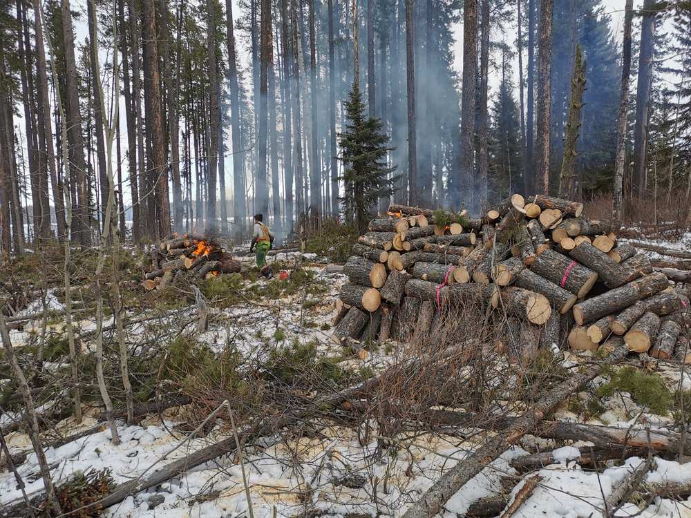 Crew member burning hand piles beside decked logs in winter