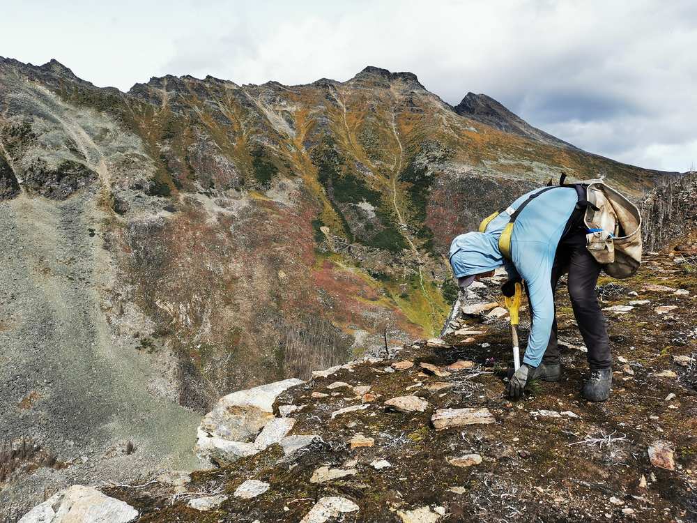 Planter working rocky high-elevation ground above a scree basin