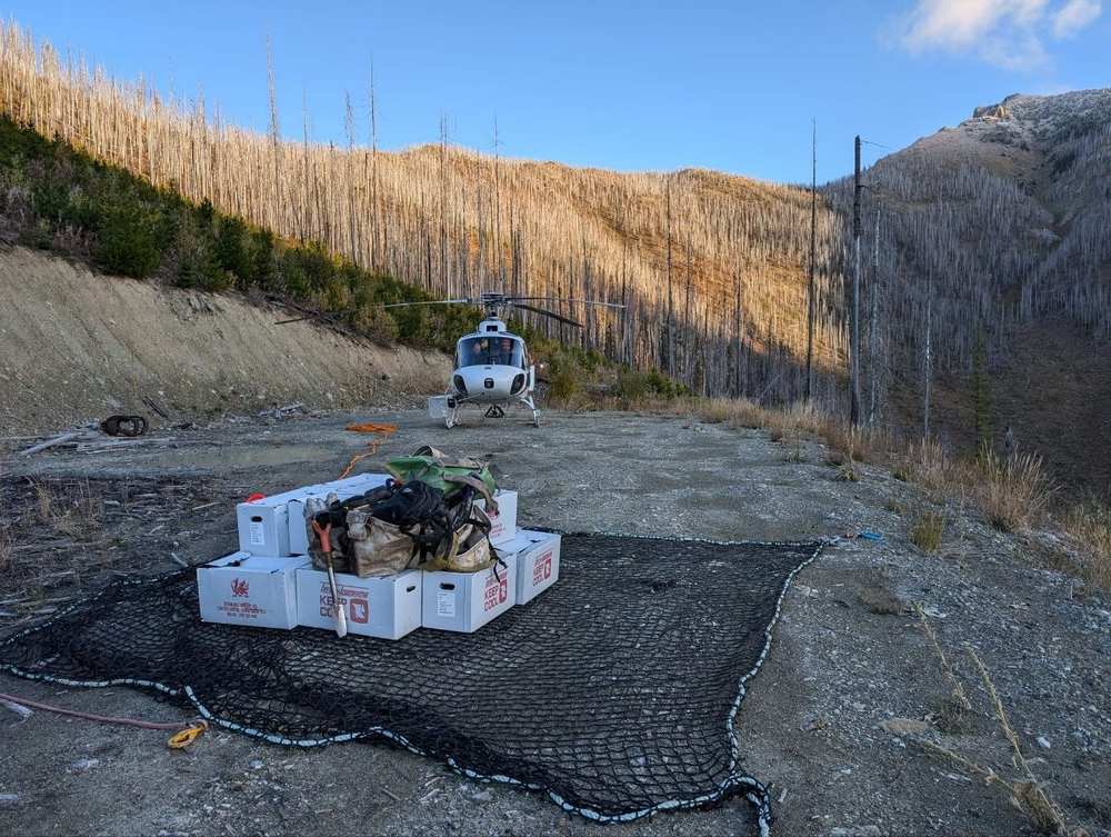 Helicopter and slung seedling boxes on a landing below a burned hillside